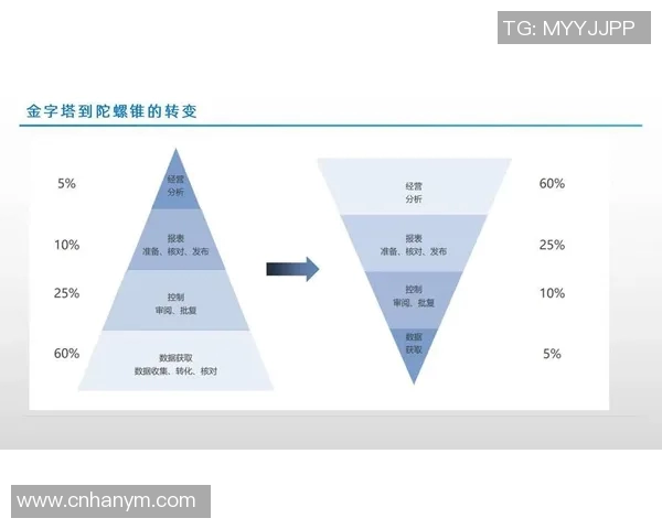 数据分析探讨V5灵活性表现及其对业务决策的影响分析